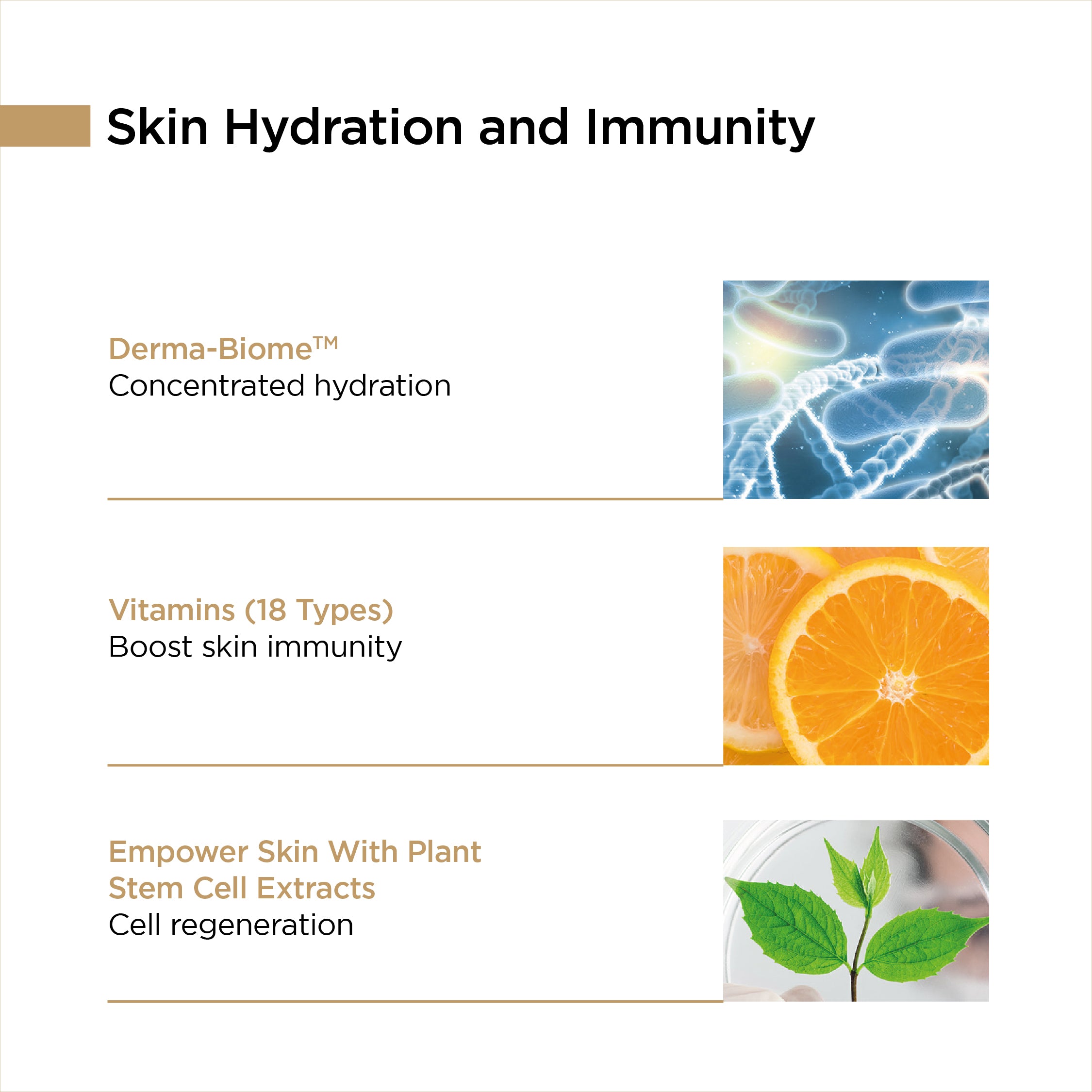 Stem Cell Magic Mask - Acne