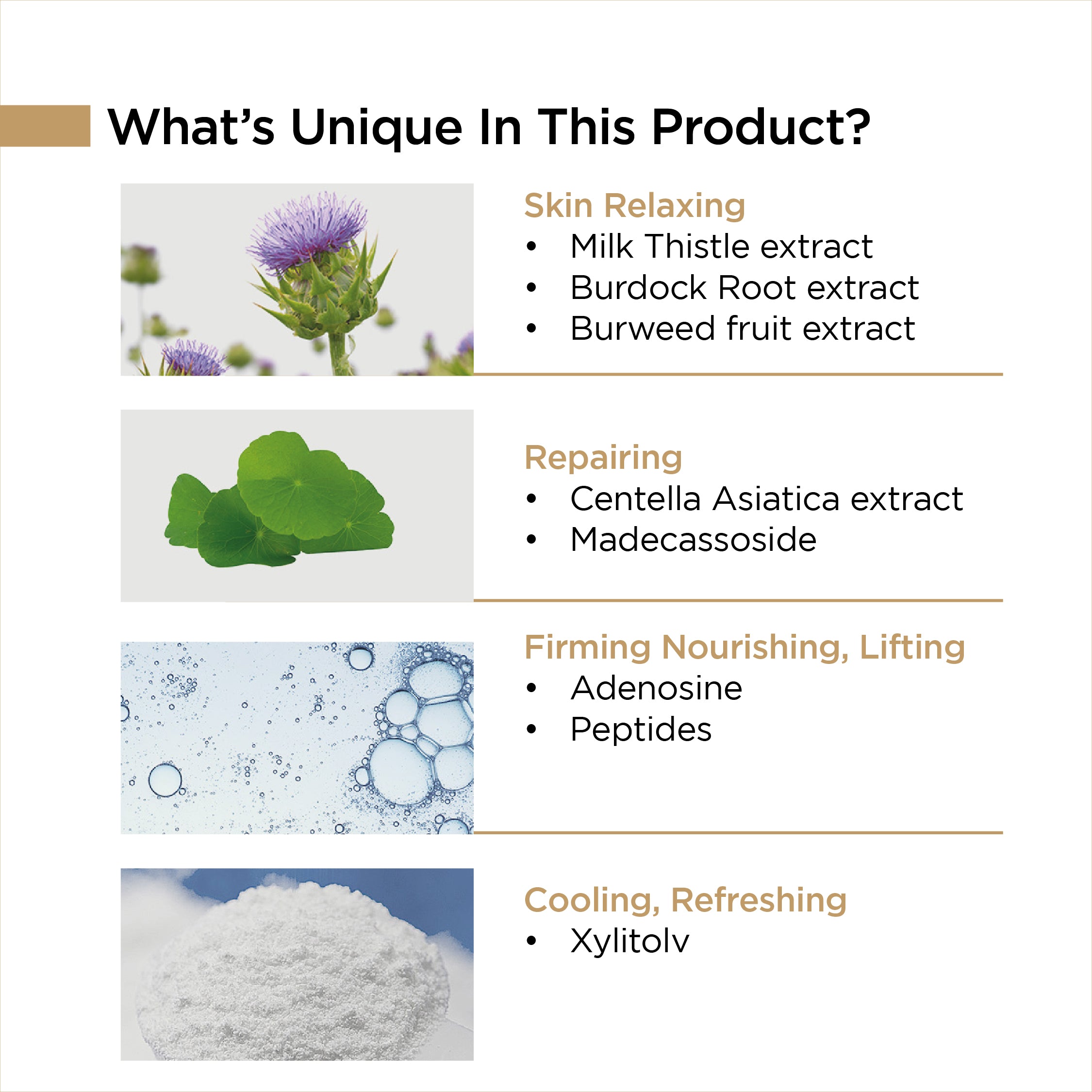 Milk Thistle Repair Sunscreen SPF45 PA+++