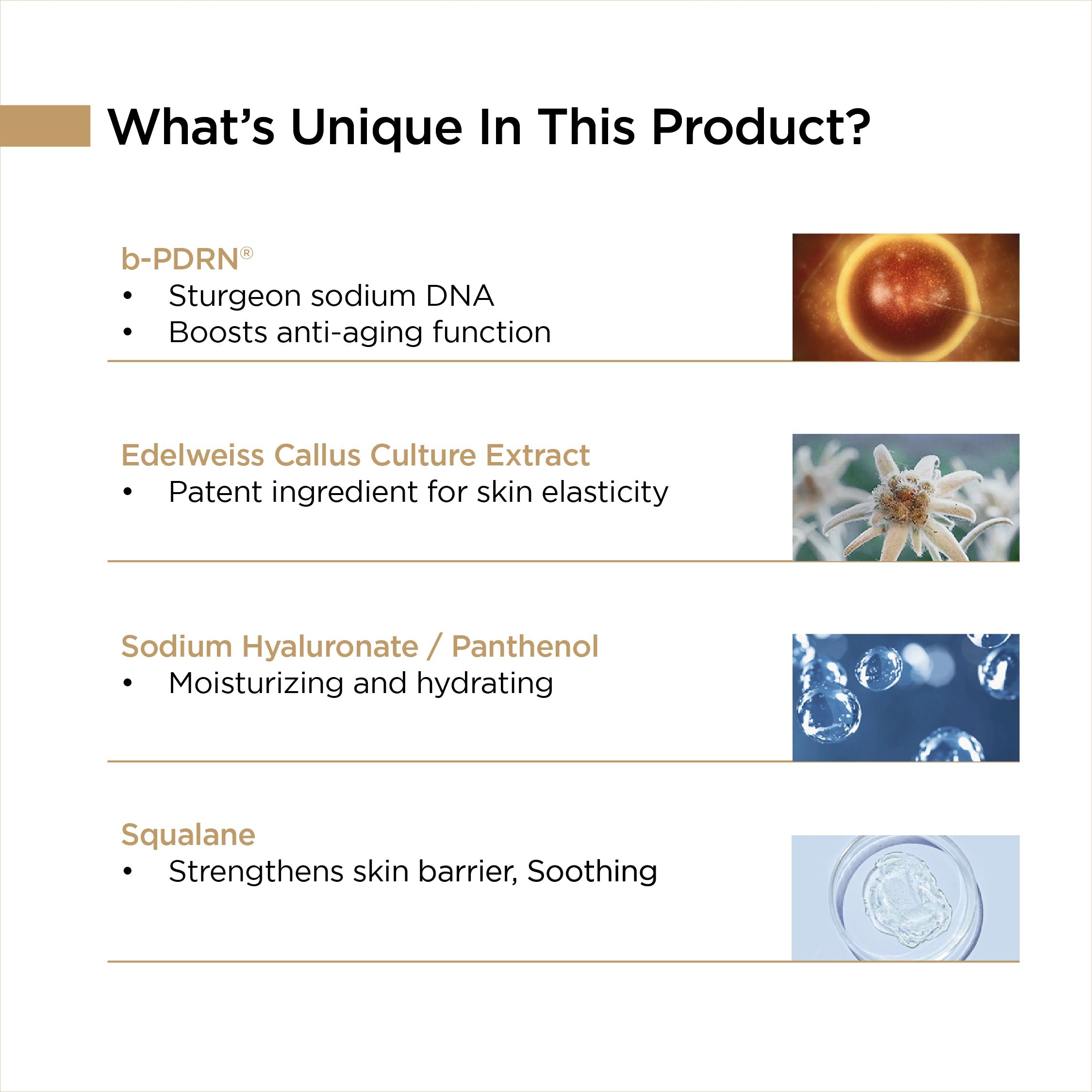 Rejuvenating Vital Anti-Aging Eye Cream