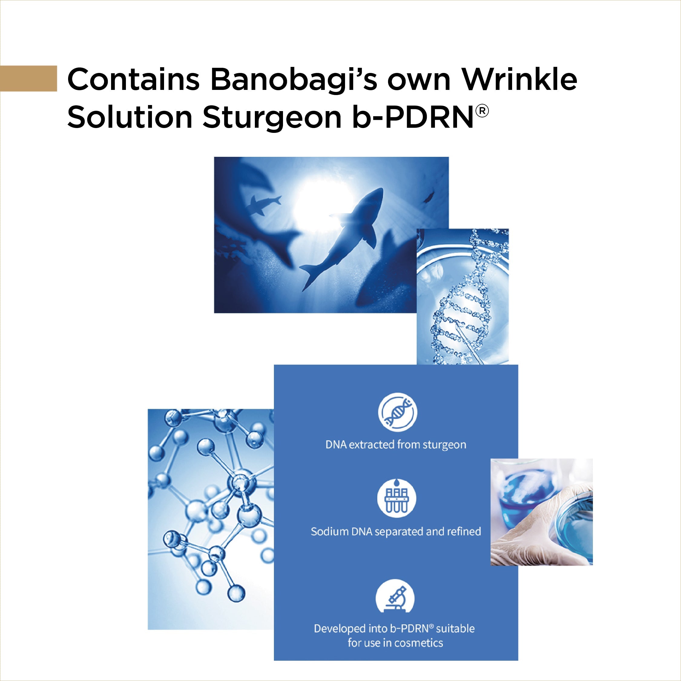 REJUVENATING VITAL ANTI-AGING CREAM