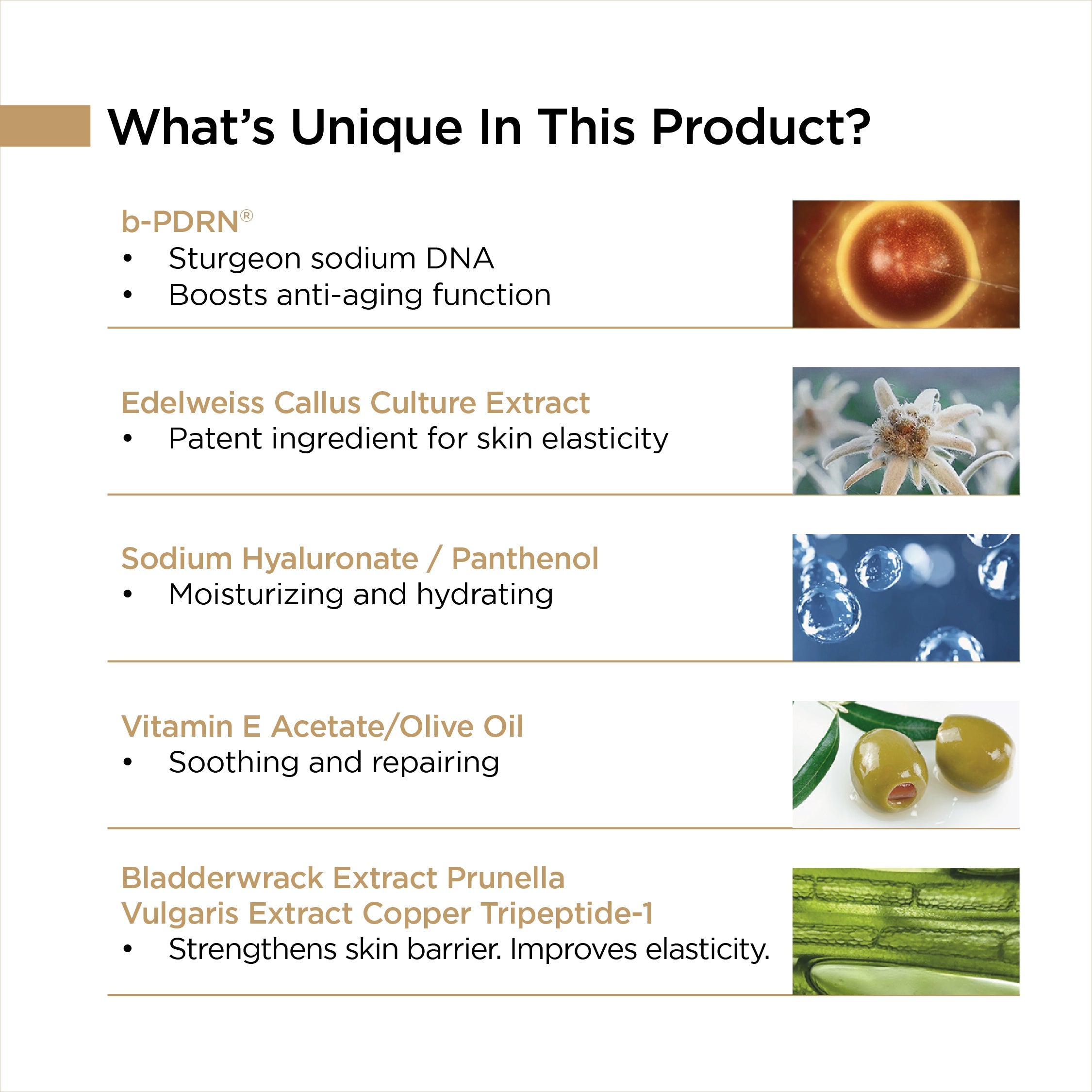 REJUVENATING VITAL ANTI-AGING CREAM