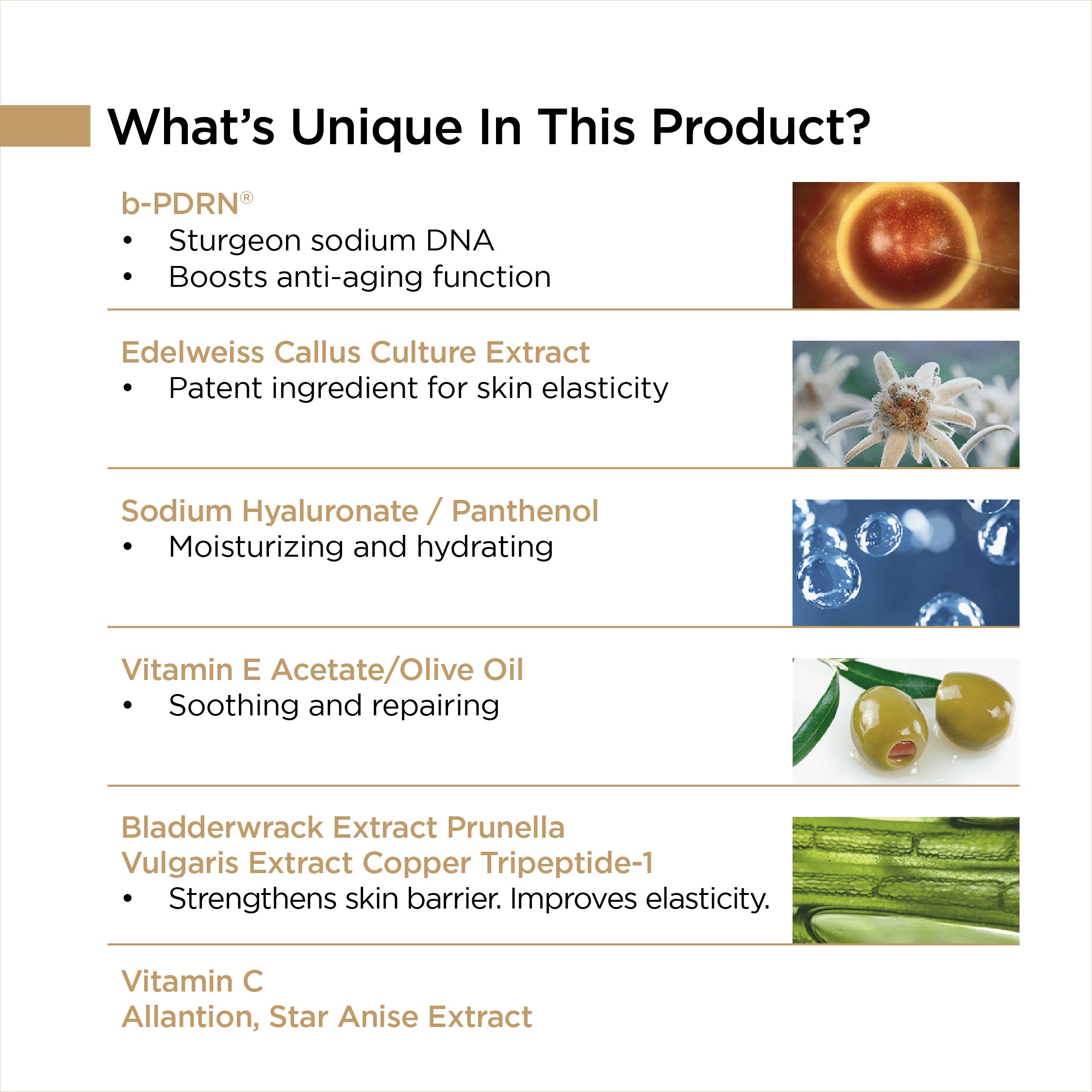 Rejuvenating Vital Anti Aging Cream