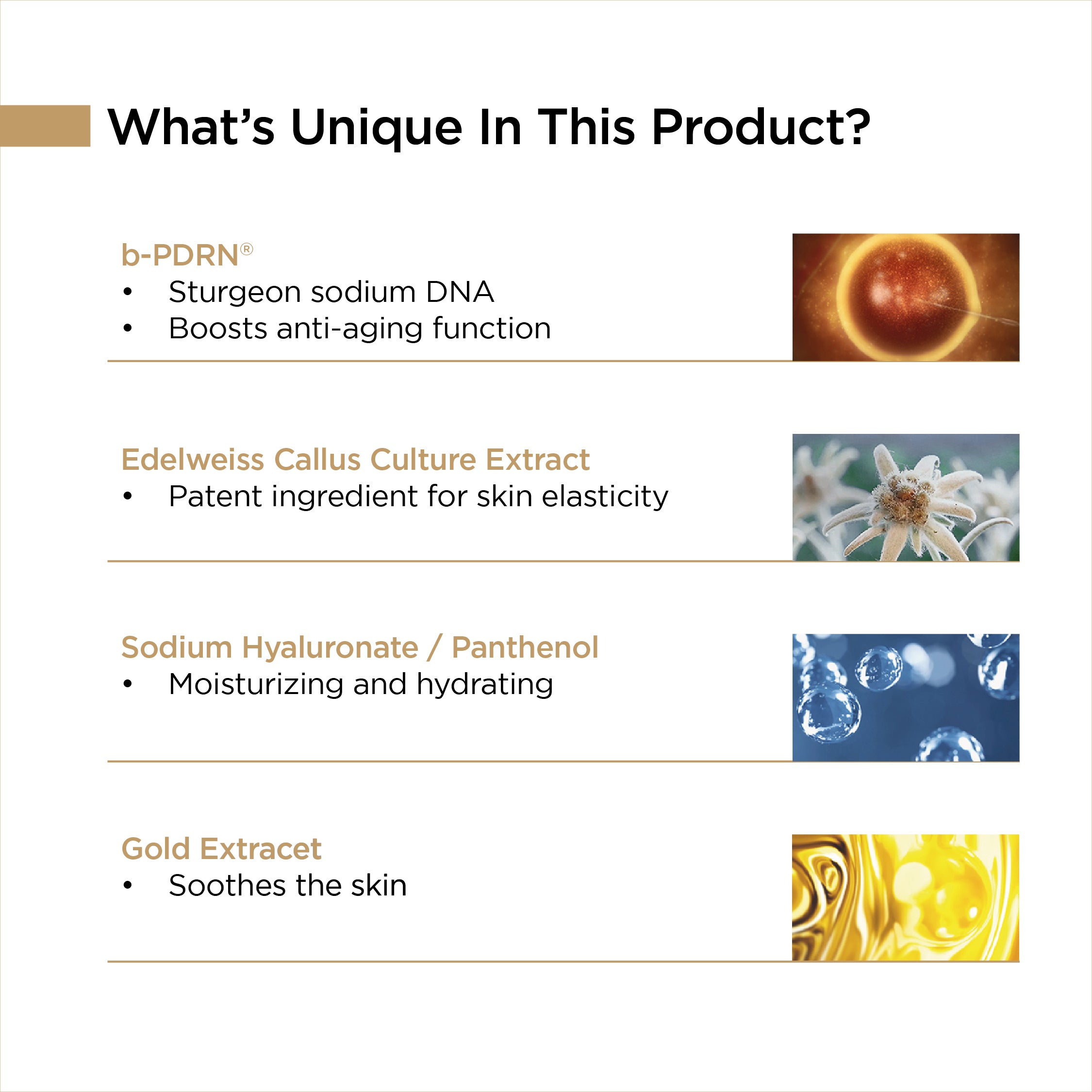 Rejuvenating Vital Skin Anti-Aging Softener
