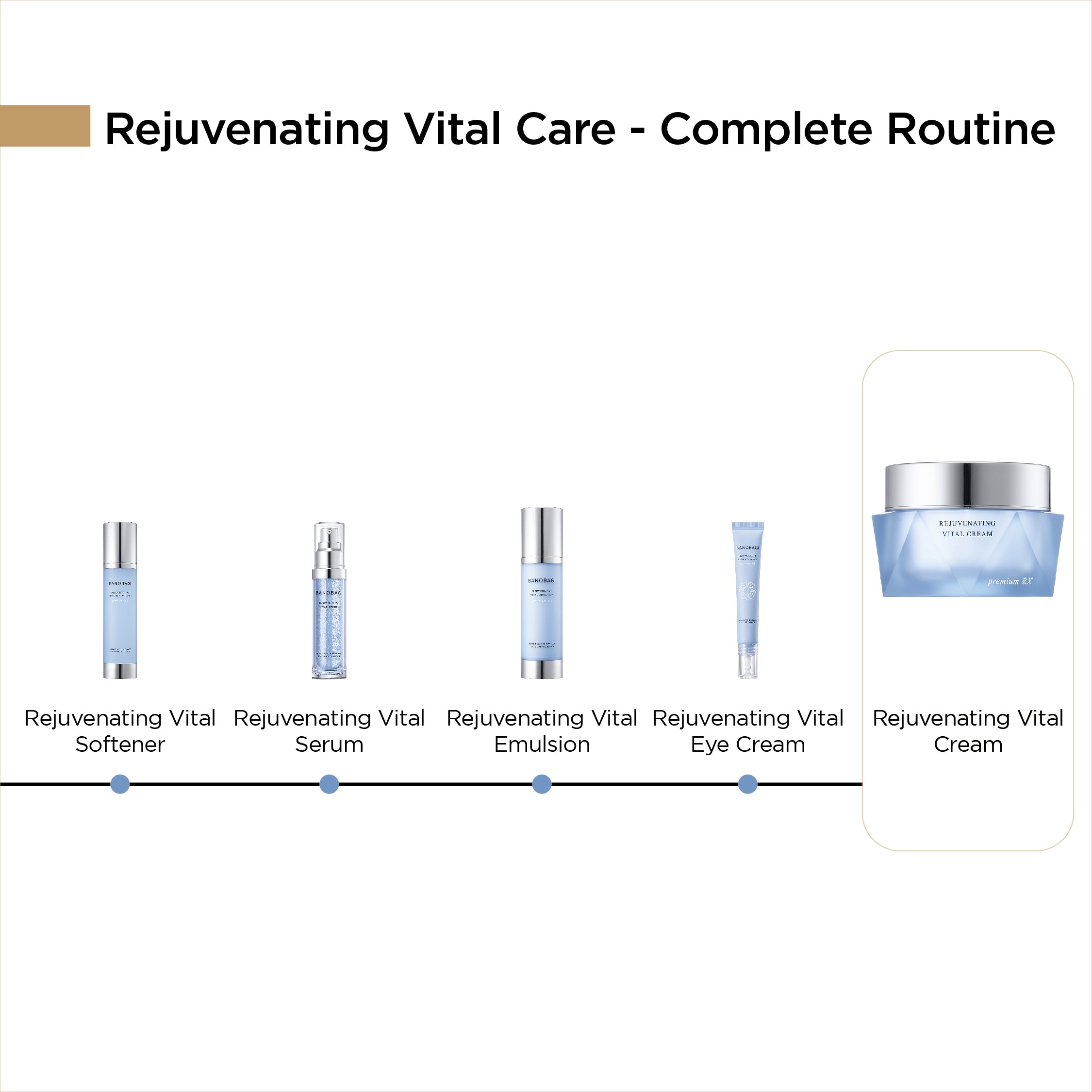 Rejuvenating Vital Anti Aging Cream